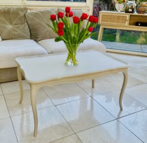 4 - Table basse (2) Table basse