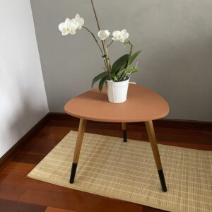 IMG_E5850 Table basse scandinave